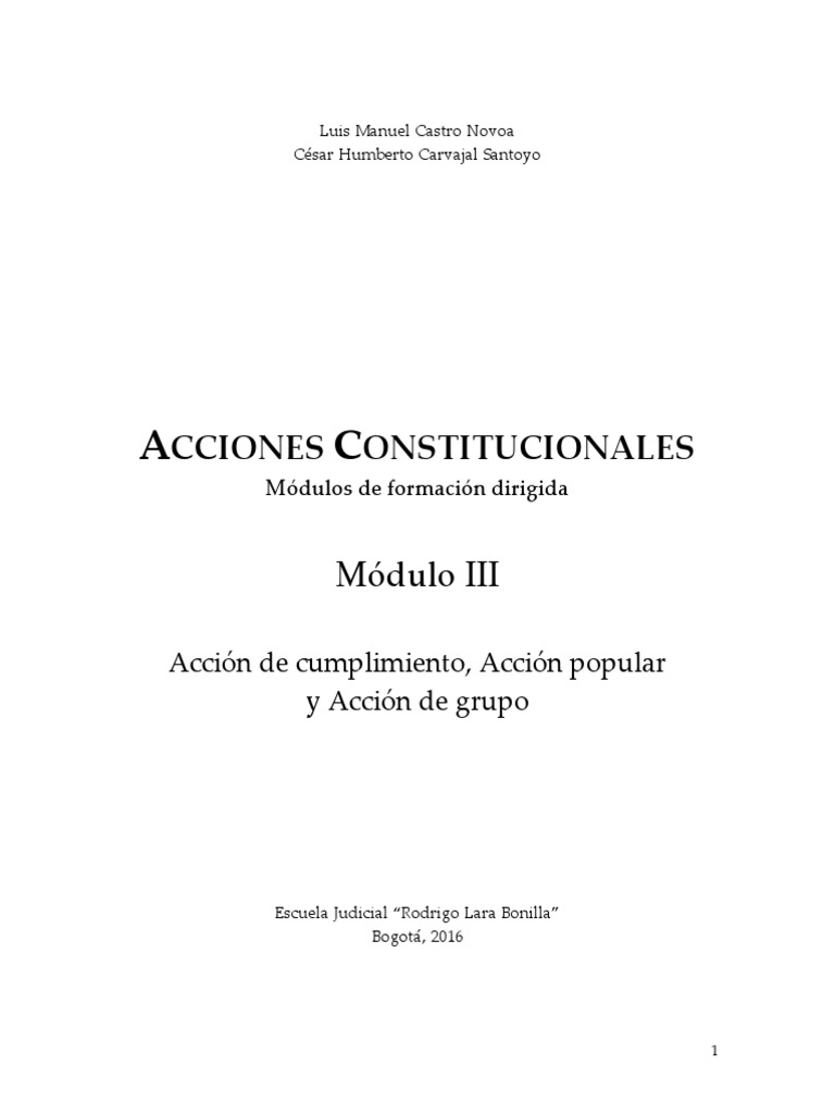 Acciones Constitucionales en Ecuador | PDF | Constitución | Ley ...