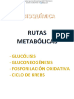 Rutas Metabolicas Glucolisis Gluconeogenesis Fosforilacion Oxidativa