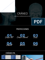 CRÁNEO