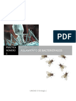 Aislamiento de bacteriófagos tamaño 14 pdf