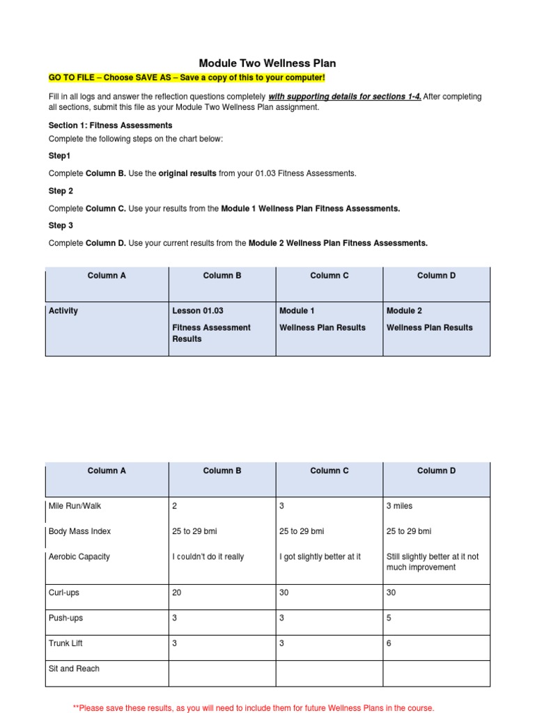 Module Two Wellness Plan Overview | PDF | Physical Fitness ...