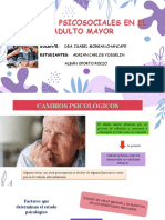 Adulto Mayor Cambiospsicosociales