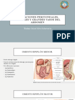 11.-Formaciones Peritoneales, Ureteres y Grandes Vasos