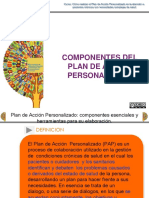 Componentes Plan Accion Personalizado