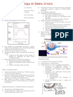 FISIOLOGIA DO SISTEMA URINÁRIO - Completo