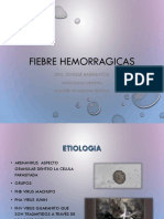 Fiebres hemorrágicas: etiología, epidemiología, clínica, diagnóstico y control