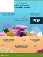 Infografia Corales Marinos