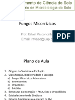 Fungos Micorrízicos_RLFV