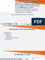 Presentation Format