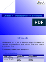 17087Metabolismo Dos Carboidratos