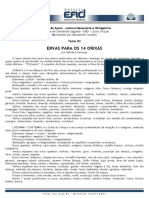 Ervas para Os 14 Orixas - Adriano Camargo