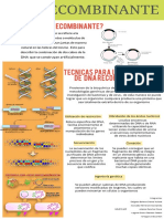 Dna Recombinante