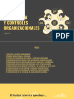 Resumen Lectura 8. RESUMEN PPT - Estructura y Controles Organizacionales