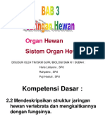 Materi Jaringan, Organ Dan Sistem Organ Hewan Kelas 11 Semester 1