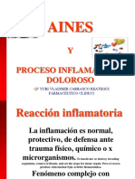 Aines Proceso Inflamatorio Doloroso Clase Ok