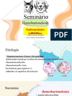 SEMINARIO (Enfermedades Infecciosas)