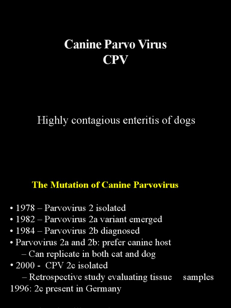 Canine Parvo Virus CPV Highly Contagious Enteritis of Dogs PDF