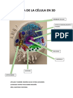 Maqueta de La Célula en 3D