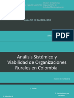 Análisis sistémico y viabilidad de organizaciones rurales