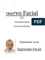 2017Nervo Facial