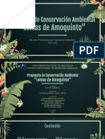 PROPUESTA DE ACA Lomas de Amoquinto-GESTION AMBIENTAL