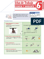 Fuerza Para Sexto Grado de Primaria