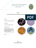 Reconocimiento de Microorganismos Del Suelo - Caratula