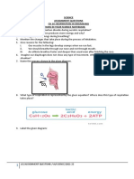 Science Assignment Questions CH 10: Respiration in Organisms Answer The Following Questions in Your Science Notebook