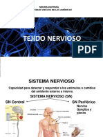 Unidad Ii Tejido Nerviso (Neurona)