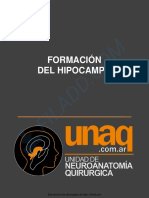 Formacion Del Hipocampo