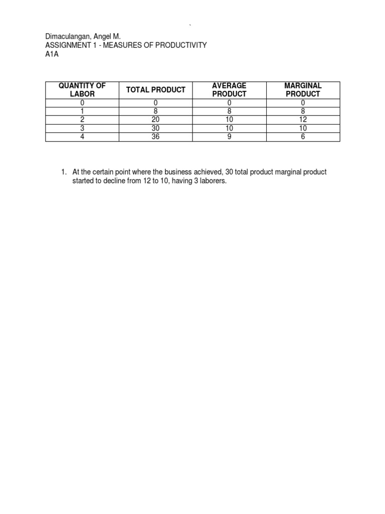 Assignment 1 - Measures of Productivity | PDF