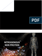 Metabolisme-Non-protein-Nitrogen
