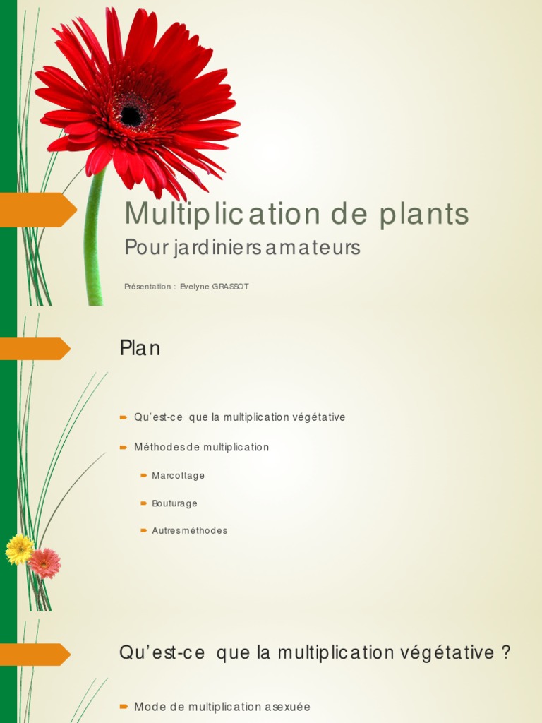 Techniques de Multiplication Végétale | PDF | Organismes | Biologie