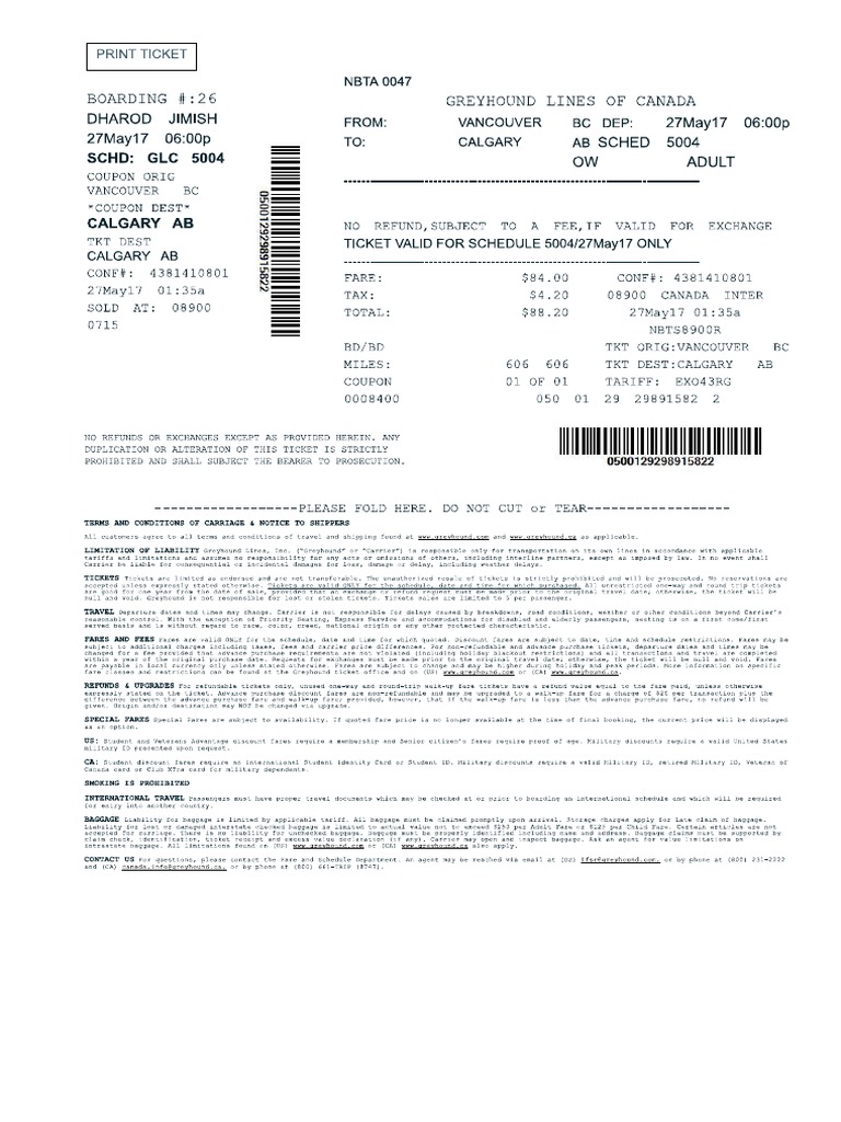 Greyhound Ticket PDF