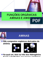 Aminas e Amidas