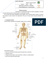 Sistema locomotor e tegumentar