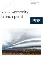 The Commodity Crunch Point Global Version