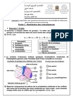 Sujet SVT DNL 06 2019 College Fini