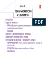 Tema 9 Formacion de Los Gametos Meiosis-2019