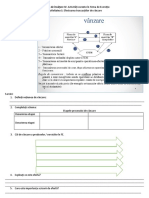 Efectuarea Operatiilor de Vanzare in Firma de Exercitiu