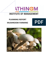 Planning Report Mushroom Farming