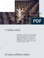 Culture Shock and Cultural Conflict