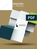 AGILE IN EXCELLENCE! Agile Consulting Company Profile