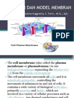 Struktur Dan Model Membran: Ebta Narasukma Anggraeny, S. Farm., M.SC., Apt