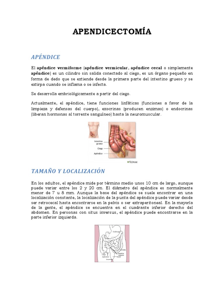 APENDICECTOMIA Word | PDF | Medicina CLINICA | Anatomía