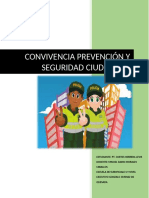 Convivencia Prevención Y Seguridad Ciudadana