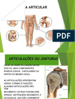 Sistema Articular