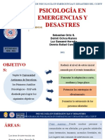 Psicología en Emergencias y Desastres