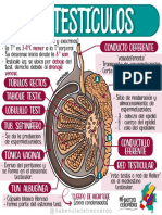 CONJUNTO DE HOJAS DE BIOLOGIA 1 5