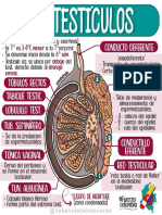 CONJUNTO DE HOJAS DE BIOLOGIA 1 15